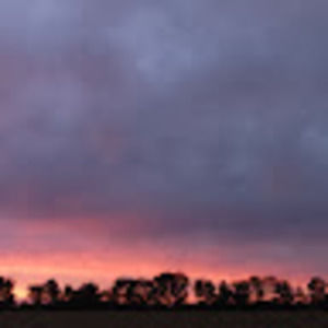 Meet your Posher, Connie